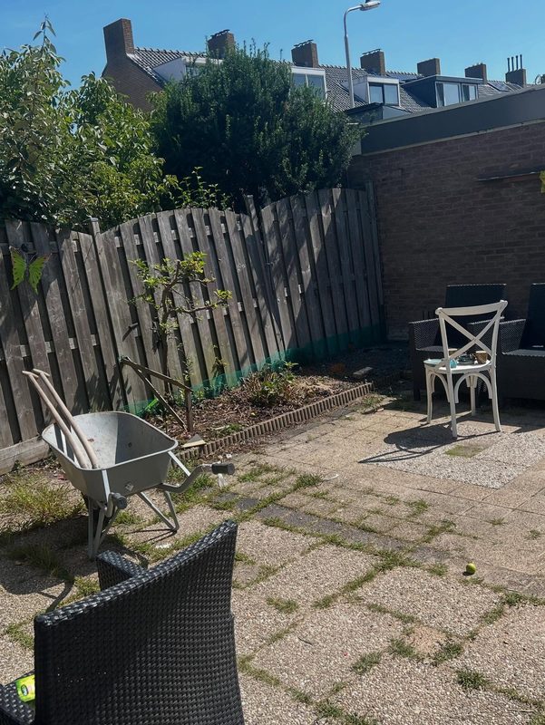 Complete tuinrenovatie met betonschutting — foto 8