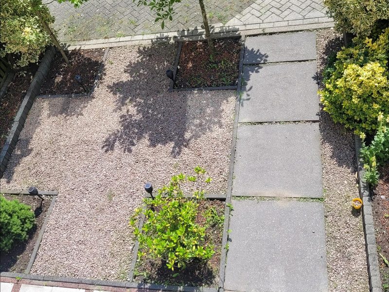 Tuinrenovatie in Zoetermeer — foto 4